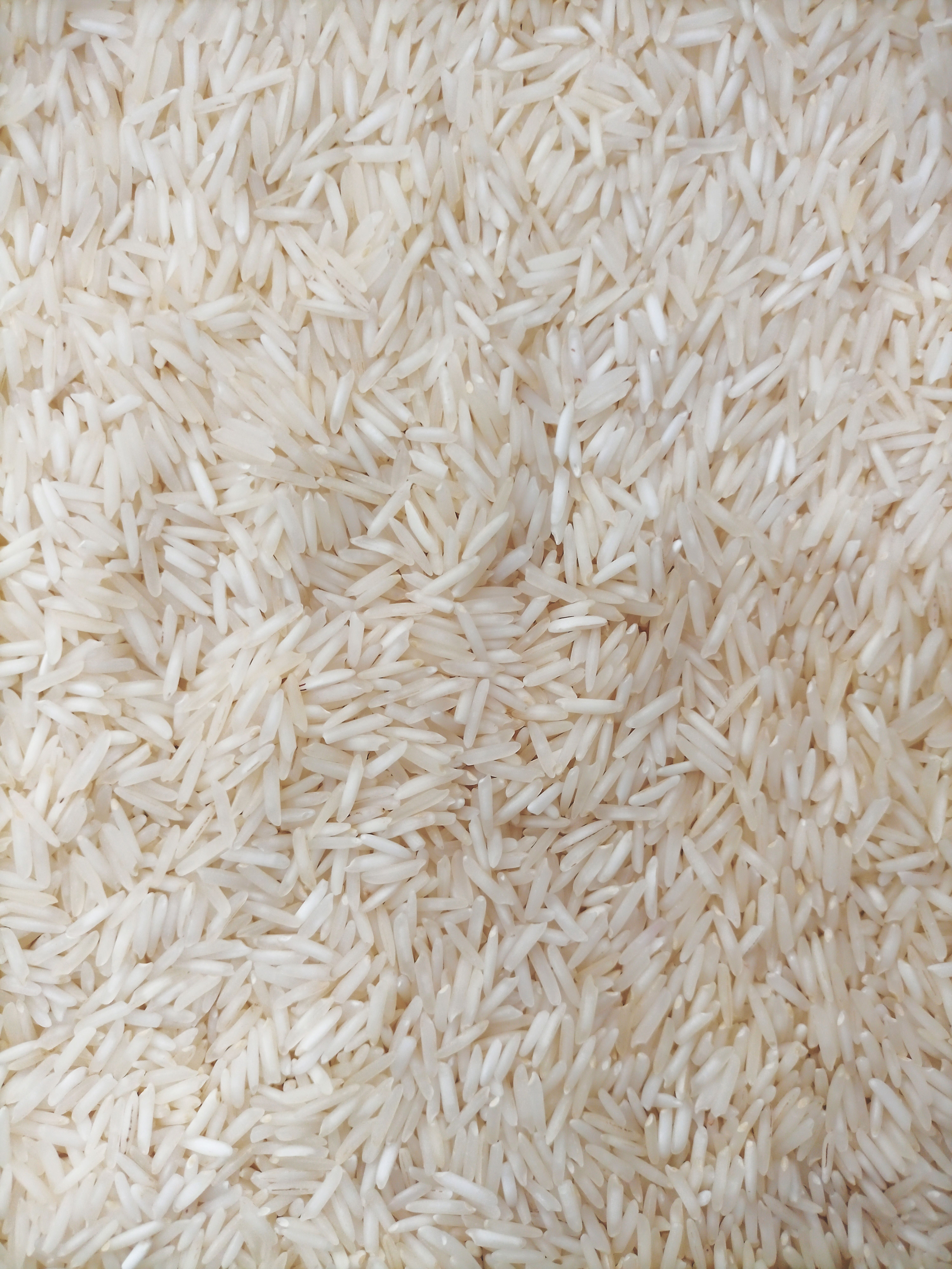 Pakistani basmati rice